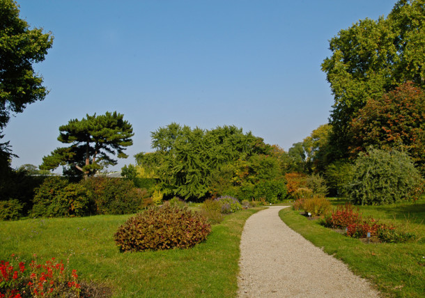     Botanical garden of the University of Vienna 